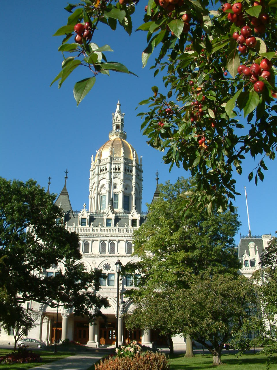 Slide Image
